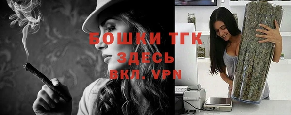 шишки Аркадак