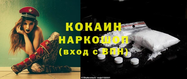 шишки Аркадак