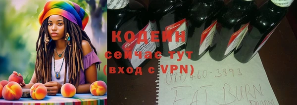 эйфоретик Алзамай
