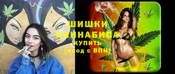 Альфа ПВП Арсеньев
