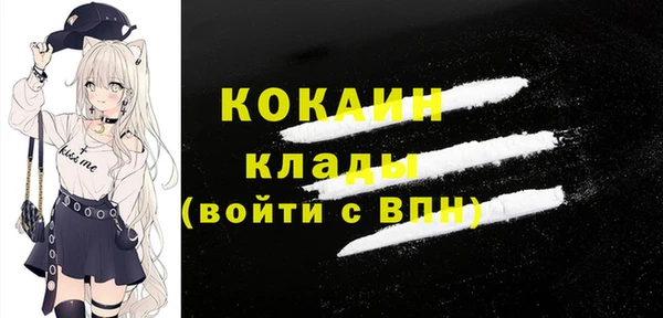 шишки Аркадак