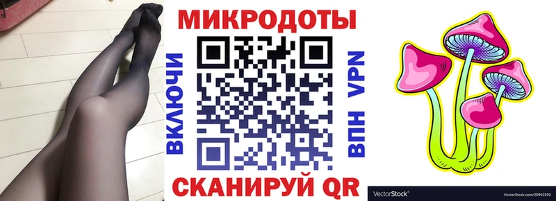 Купить где  Тайшет  Галлюциногенные грибы GOLDEN TEACHER 