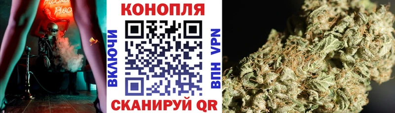 Купить где  Тайшет  Бошки Шишки LSD WEED 
